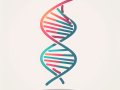 Evolving Solutions: The Fascinating World of Genetic Algorithms in Software Development