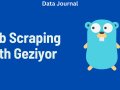 How to Use Geziyor for Web Scraping?