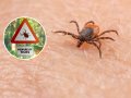 Warning for Midwest and Northeast as 'American Malaria' Rising