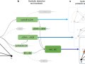 How Google built the perfect LLM system-AlphaGeometry
