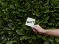 This Powerful Skill Immediately Makes You A More Valuable Software Engineer