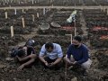 Indonesia caught between surge and slow vaccine rollout