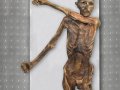 Fresh look at DNA from Oetzi the Iceman traces his roots to present day Turkey