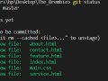 STAGING AND UNSTAGING IN GIT