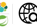 Exploring Elasticsearch 8: Utilizing Spring Boot 3 and Spring Data Elasticsearch 5
