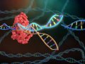 CRISPR: The Future of Genetic Editing and Why You Should Care