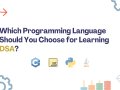 Which Programming Language Should You Choose for Learning DSA?