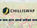 ChilliSwap: Who we are and what we do!