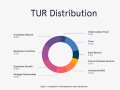 Turing Network Token (TUR)