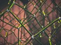 Deep Dive into pandas Copy-on-Write Mode: Part I