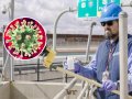 Unprecedented Bird Flu Levels Detected in Texas Wastewater: 'Concerning'
