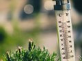 How to Receive Water Temperature Data in Real-Time Using Raspberry Pi and Python