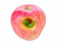 Toshiba: The memory saga is nearly behind us! Apple: NOT SO FAST
