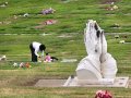 Owner of Bay Area cemeteries responds to cease-and-desist order