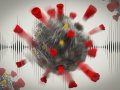 Ultrasound has potential to damage coronaviruses