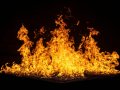 Google Firebase Studio: Google cooked Replit, Lovable, Cursor and Bolt
