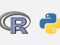The key differences between R and Python