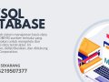 085219507377 (WA) Training MySQL Database Areta Training Center Aceh Timur