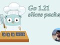 Exploring the Power of Go 1.21: slices Package