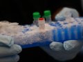 Silicon Valley’s gene-editor Synthego files for bankruptcy with plans to sell itself to lenders