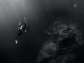 React’s Deep Sea Dive: useSyncExternalStore & useTransition in Real World