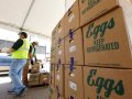 Largest egg producer in the US reports bird flu outbreak