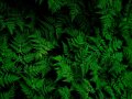 How to set up a node.js application for production using PM2 process manager and Nginx as a reverse proxy