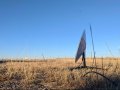 SpaceX's Starlink to Receive $886 Million From FCC to Improve Rural Broadband