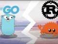 What Happens When Go Tries to Be Rust? A Deep Dive