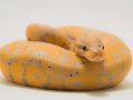 Understand Type, Class, and Scope of Python