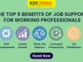 ? Job Support Benefits for Working Professionals: Real Help, Real Growth