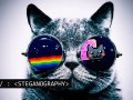 Image Steganography with Python