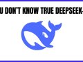 DeepSeek-R1: Revolutionizing Reasoning in Large Language Models