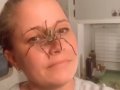 Huntsman Spider Crawls Over Fearless Woman's Face in Instagram Video