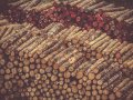 log.warn(“This log will cost you”)On log cost optimization