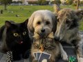 OpenAI’s New Image Generator