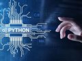 Python: The Language that Powers the Future