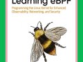 Liz Rice: Learning eBPF: Programming the Linux Kernel for Enhanced Observability, Networking, and Security