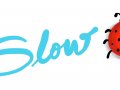 Slowbug — Debug Code in Slow-Motion