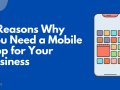 7 Reasons Why You Need a Mobile App for Your Business