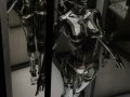 How to Earn Real Profits with AI Automation