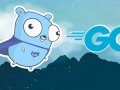 Baby Steps with Go: Master Go Programming in No Time!