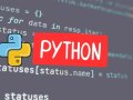 I Started Learning Python at 30