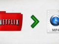 How to Download Netflix to MP4 for Flexible Watching 2024