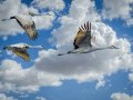 Migrating to Spring 6: A Step-by-Step Guide with Code Examples and Rollback Strategies