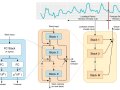 Power of Deep Learning for Time Series Forecasting-N-BEATS